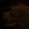 jeri_brown